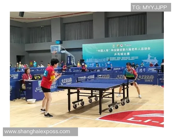 杭州乒乓球队灵活性分析与提升策略探讨 杭州乒乓球队灵活性分析与提升策略探讨