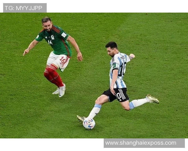 足球明星的爱犬展现球技与主人同场竞技的精彩瞬间