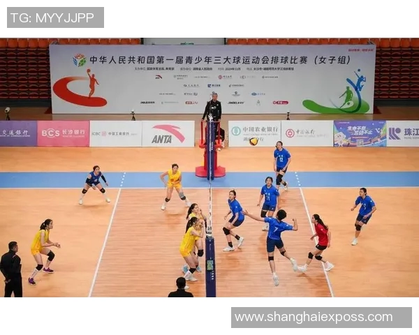 深圳排球队的节奏与魅力探索：排球运动在城市中的发展与影响