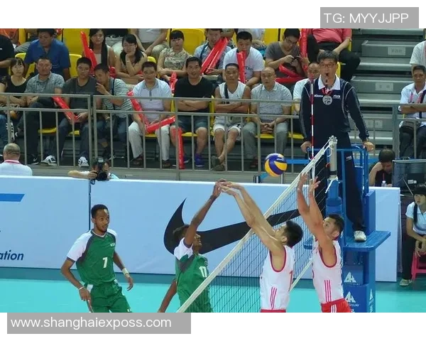 排球盛宴：深入解析北京排球队的灵活战术与团队协作之道