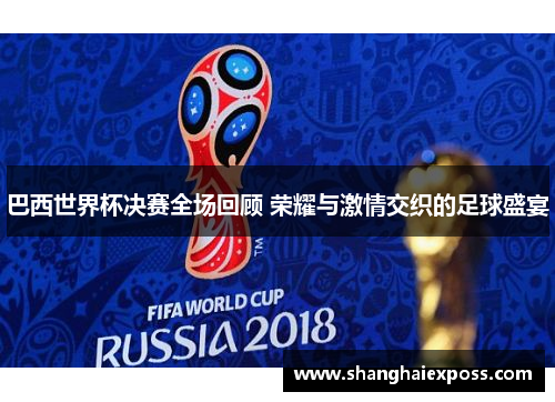 巴西世界杯决赛全场回顾 荣耀与激情交织的足球盛宴