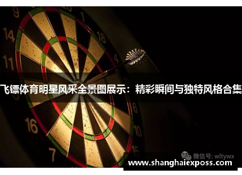 飞镖体育明星风采全景图展示：精彩瞬间与独特风格合集