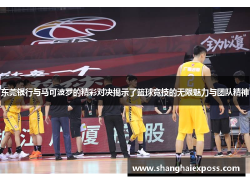 东莞银行与马可波罗的精彩对决揭示了篮球竞技的无限魅力与团队精神